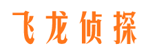 文圣市场调查